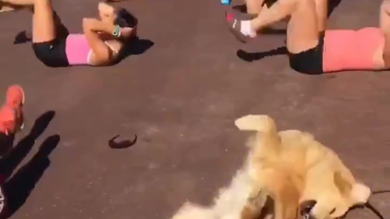 Anything But Exercise