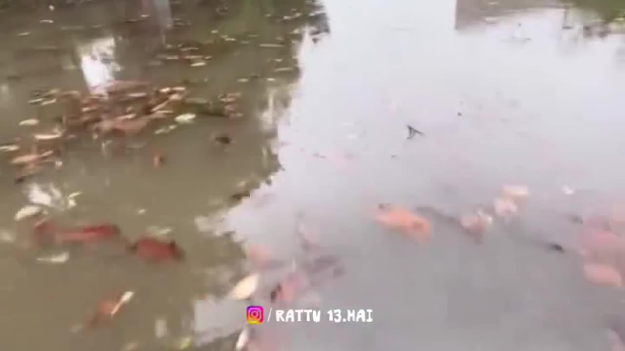 Indian road summer time 😂🤣..
