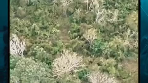 😱👻 Did They Capture a Real Skinwalker? | TheHauntingHour