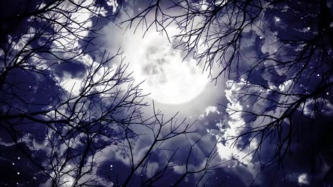 Calming Music for Sleep | Fall Asleep Quickly and Easily | Deep Sleep Music