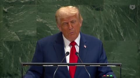 Trump: "These are the two things I got from the United Nations, a bad escalator and