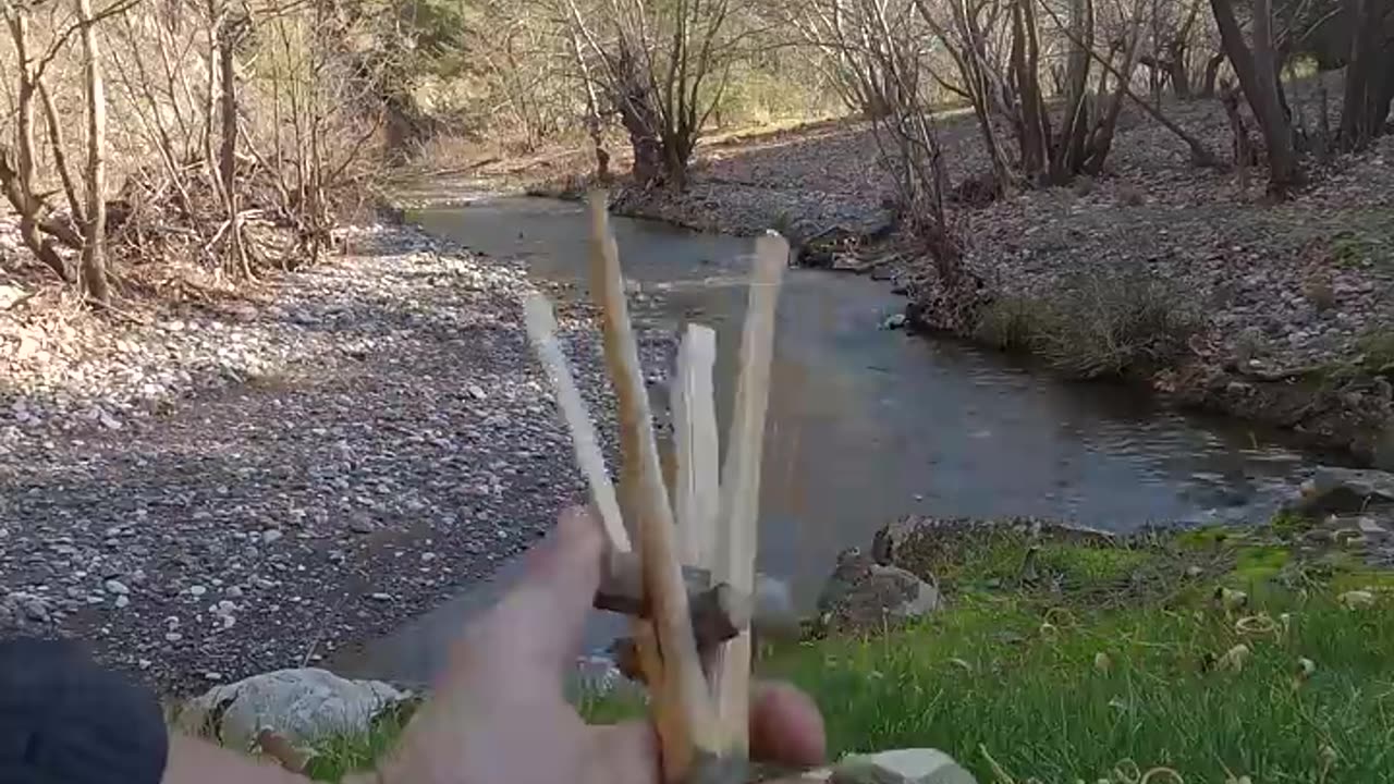 Roasting whole chicken in nature