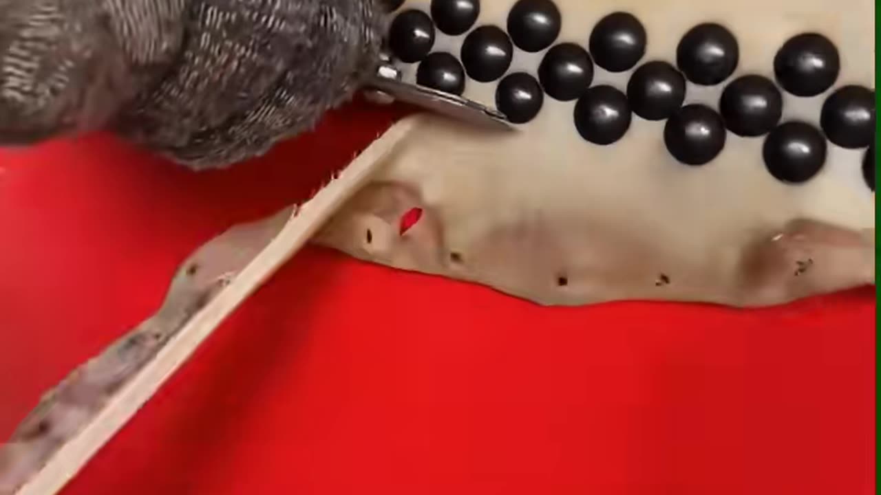 💡✨ A Clever Hack You'll Wish You Knew Sooner | LifeHacksDaily