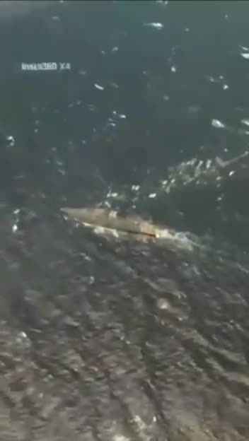 🇻🇪🇺🇸Venezuelan Air Force F-16A fighters