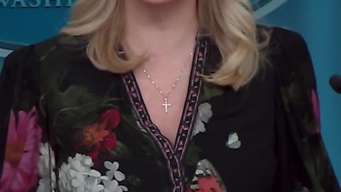 🔥 @PressSec on the Democrat Shutdown: