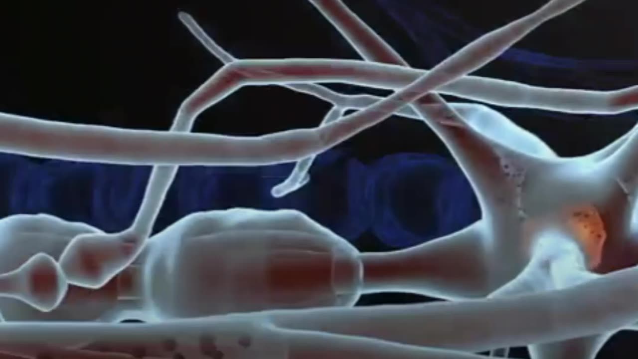 ๐ฆ Gravesโ Disease Treatment: Key Facts You Should Know ๐๐