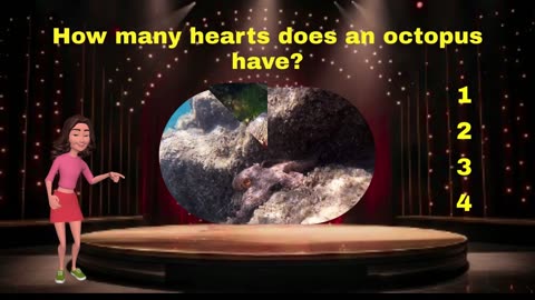 GENERAL KNOWLEDGE TRIVIA QUIZ ! 10 QUESTIONS MOST PEOPLE GET WRONG!