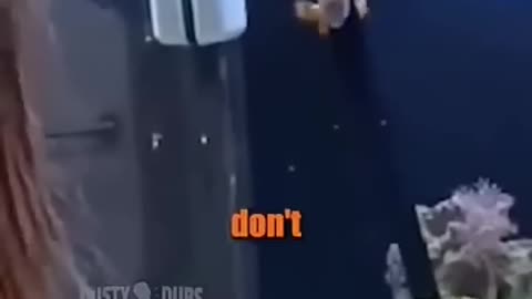 Funny video 2