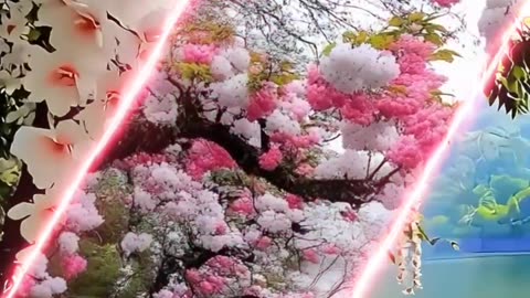 Surah Al-Takathur with Beautiful Recitation & Nature Video | Heart-Touching Quran Tilawat