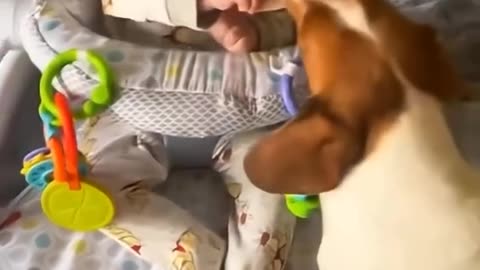 Why do I feel so good watching these types of videos?