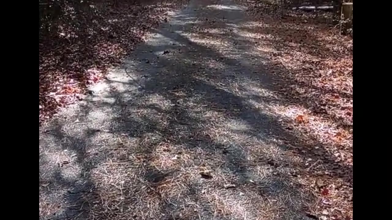 Walk with me #naturewalks