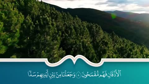 سور الرزق والبركة سورة يس - الرحمن - الواقعة - الملك بصوت الشيخ سعد الغامدي