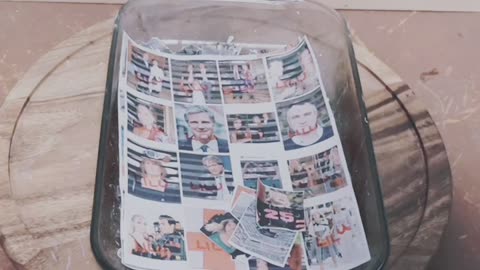 Tim Rifat TikTok Videos