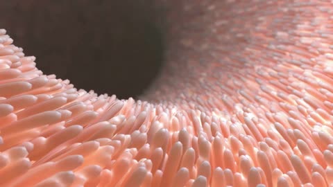 How Your Gut Health Runs Your Life.