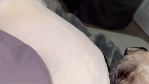 😱👻 You Won't Believe What They Caught on Camera! Ouija Board | TheHauntingHour