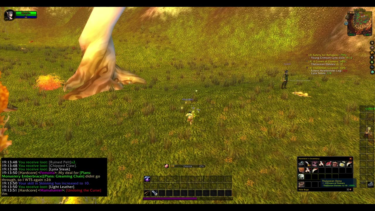 Turtle wow - Melee HC Slow and Steady Hunter - Part 1 - No commentary
