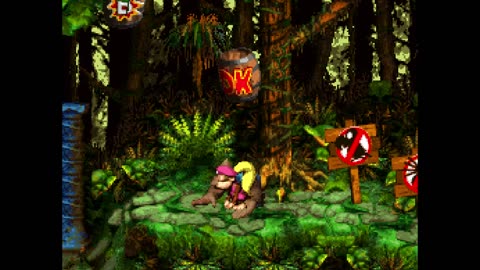 Donkey Kong Country 3 - Part 44