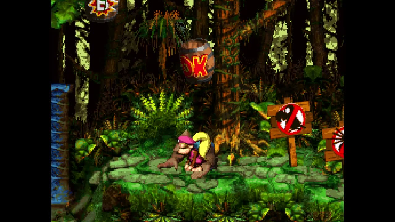 Donkey Kong Country 3 - Part 44