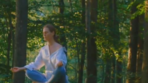 Plato's Republic Book 4 - Philosophy Made Understandable