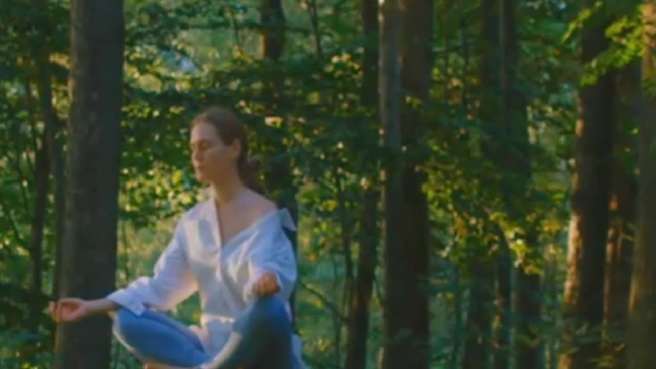 Plato's Republic Book 4 - Philosophy Made Understandable