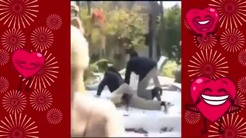 Cute video. Animal funny videos.😂😂.