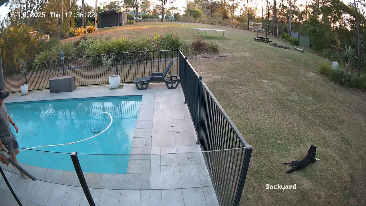 Distraction While Leaf Blowing Leads To Swimming Pool Fall