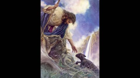 Mateo 7 - 11 | Los Trabajadores Son Pocos