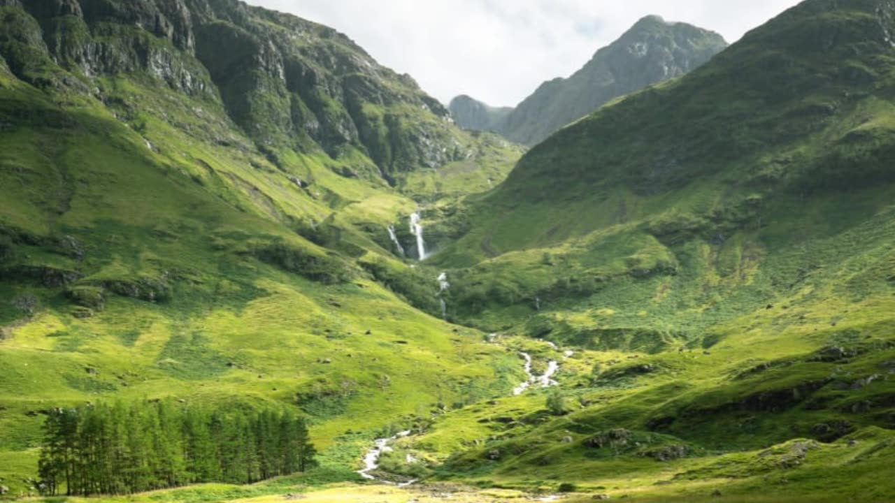 Full Throttle Dreams