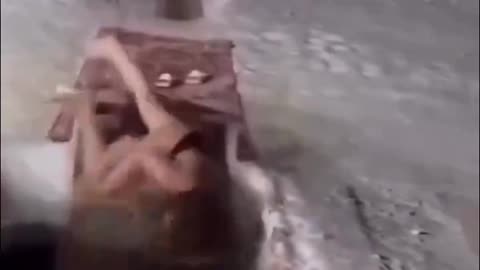 Only Fails