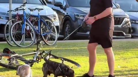 Two different kinds of pets 😂