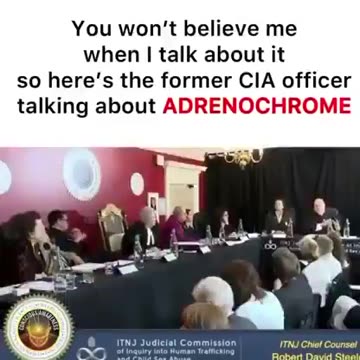 CIA officer Robert David Steele