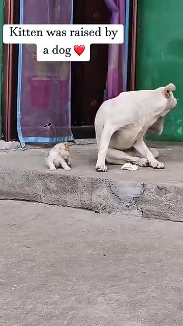 I wish the people will be like that