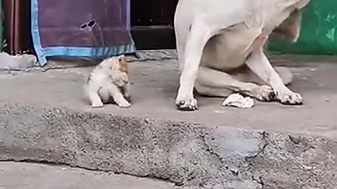 I wish the people will be like that