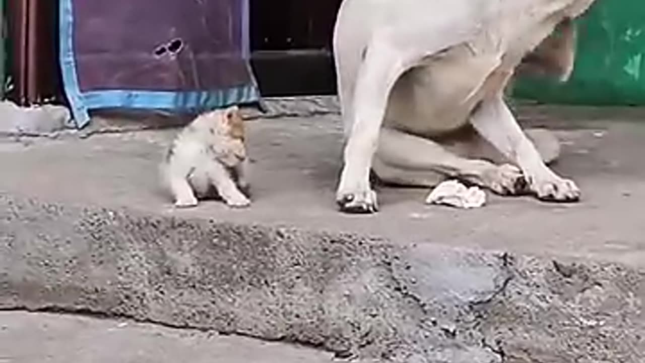 I wish the people will be like that