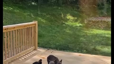 🤣👵 Momma Just Walks Away Like She Dropped Her Kids Off! | FunFM