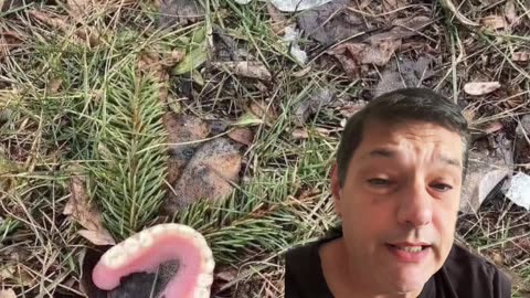 Be careful where you go bigfooting