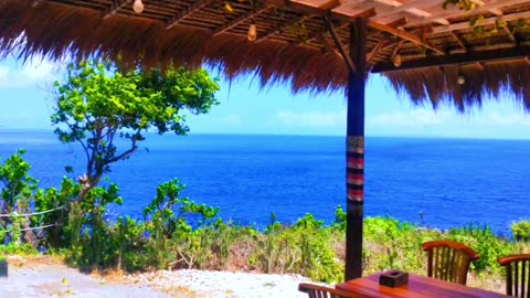 Blue Paradise