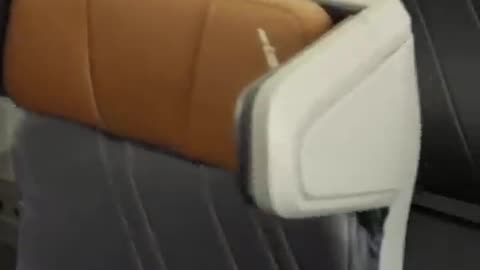 American Airlines unveils new 787-9 Dreamliner interior