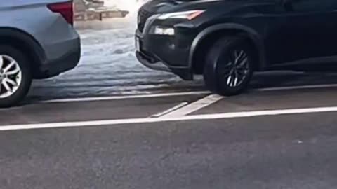 NEW: A new 3½-minute video shows the moments leading up to an ICE agent firing at Renee ...