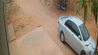 Sicariato en Maicao, La Guajira