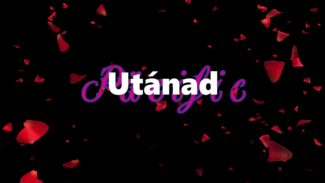 Päcific ¦ Utánad (dalszöveges audió)