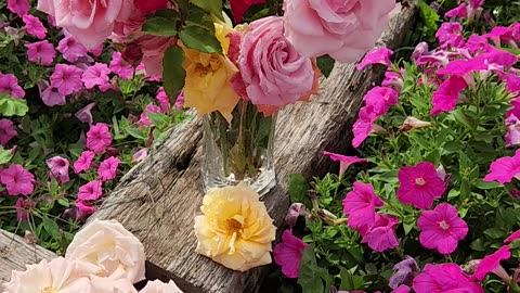 "A Selection of Hybrid Tea Roses,