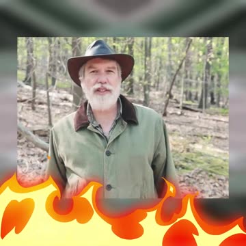 Charcoal Industry, Early America