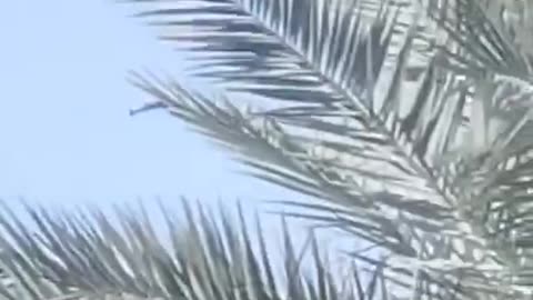 —❗️🇮🇱/🇮🇷 NEW: Israeli sources say 100 Iranian drones headed towards Israel
