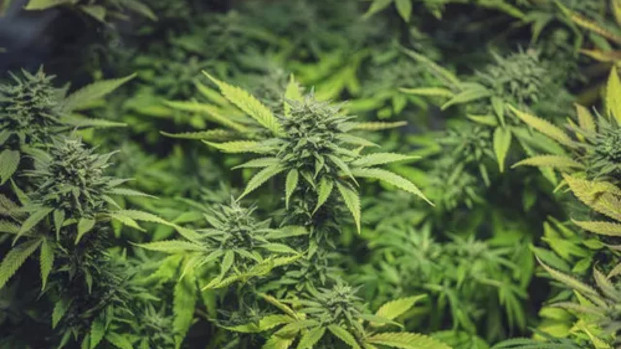 420 MIX VOL.2 #2