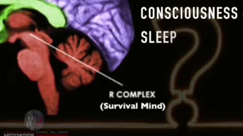 The science and importance of the Pineal Gland.
