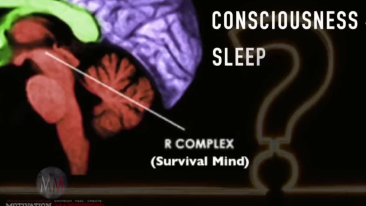 The science and importance of the Pineal Gland.