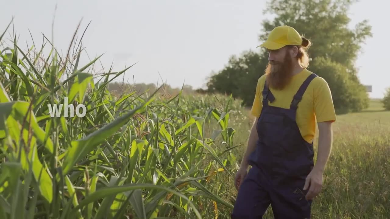 Hey Gary Gensler Song