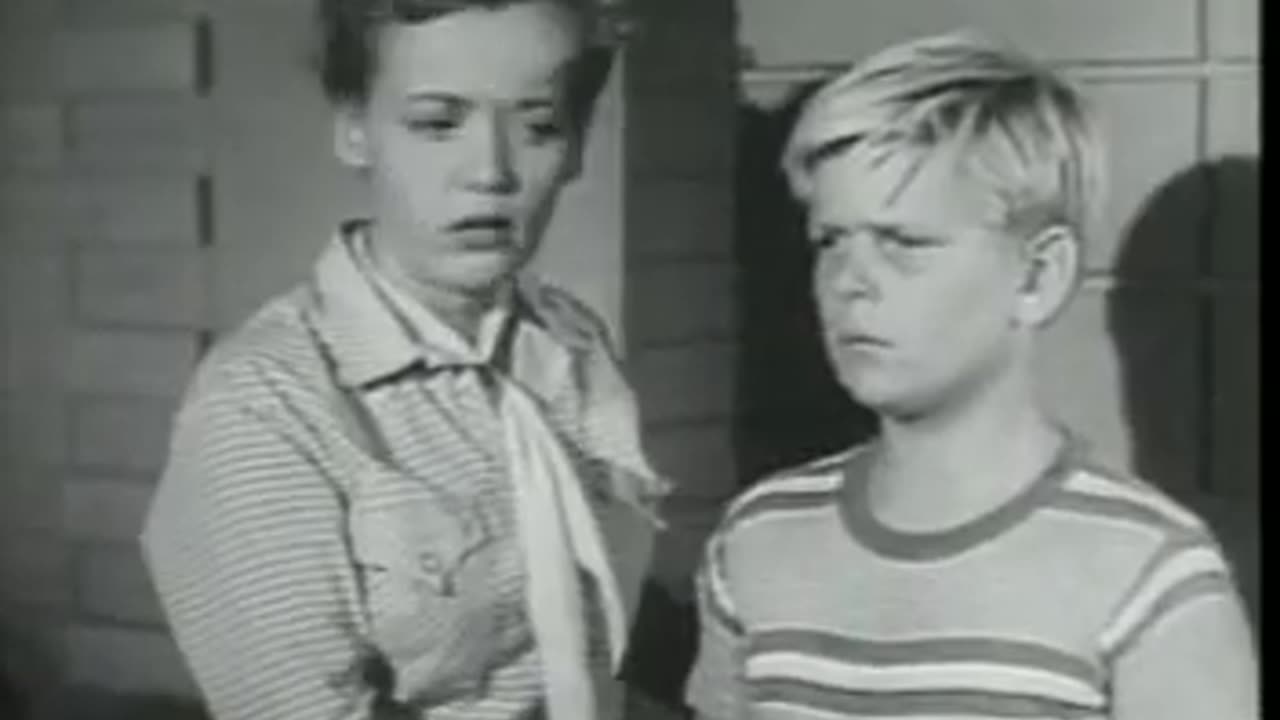 Sky King - A Dog Named Barney