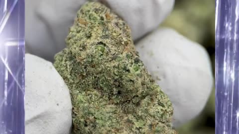 Double Runtz THCa Flower | Fruity Gas Candy Terps | Euphoric & Relaxing Hybrid | White Label Ready